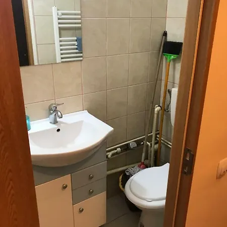 Ionut Apartament *