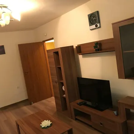 Ionut Apartament 公寓 康斯坦察