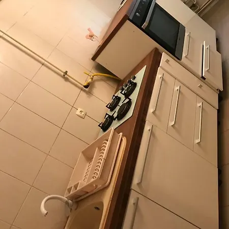 公寓 Ionut Apartament *