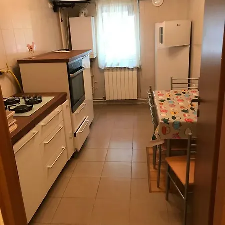 Ionut Apartament 公寓