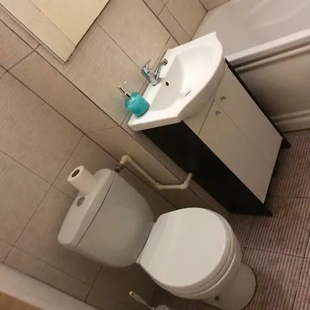 Ionut Apartament 公寓